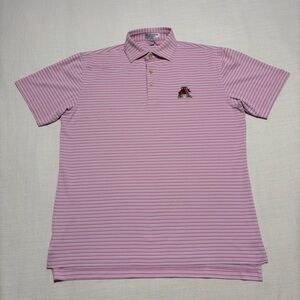 Men’s Peter Millar Arkansas Razorbacks Dellroy Performance Polo | Pink | Small